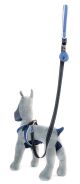 ZOE LIGHT COMFORT BLAUWE LIJN