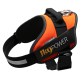 JULIUS-K9 POWERHARNESS HARNAS FLUO ORANJE MINIMUM